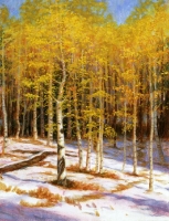 Piney Lake Aspens